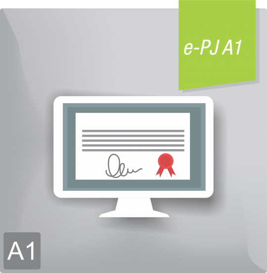 Certificado Digital para Pessoa Jurídica A1 (e-PJ A1)